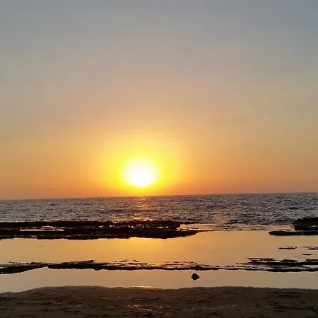 Sotiroulla فيلة